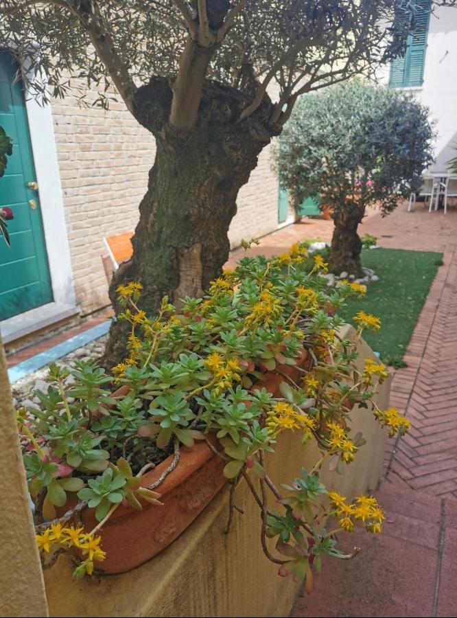 B&B La Chicca Ravenne Extérieur photo